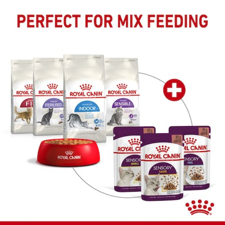 Royal Canin Feline Health Nutrition Sensory Smell (WET FOOD - POUCH) 85G